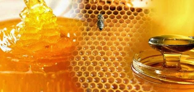خصائص العسل